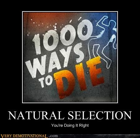 NATURAL SELECTION