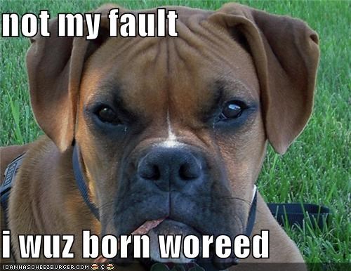 not my fault  i wuz born woreed