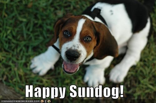 Happy Sundog!