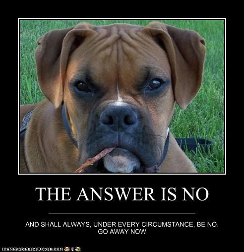 THE ANSWER IS NO