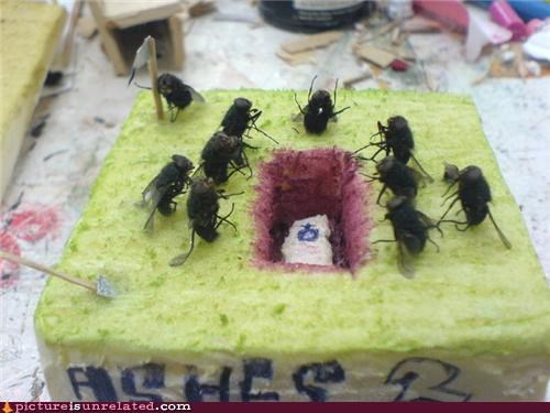 Funeral for a Fly