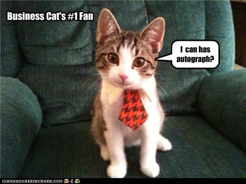 Business Cat's #1 Fan