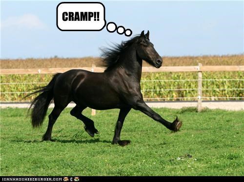 CRAMP!!