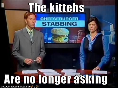 The kittehs  Are no longer asking