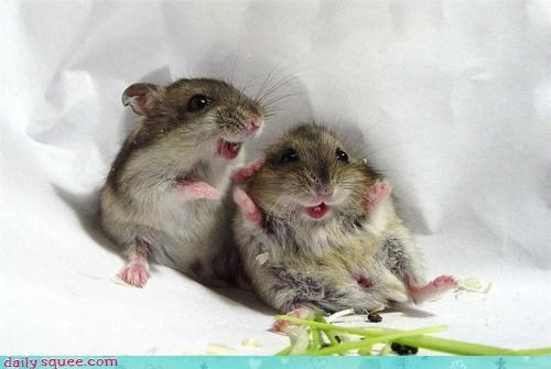 Noms Are Exciting Business