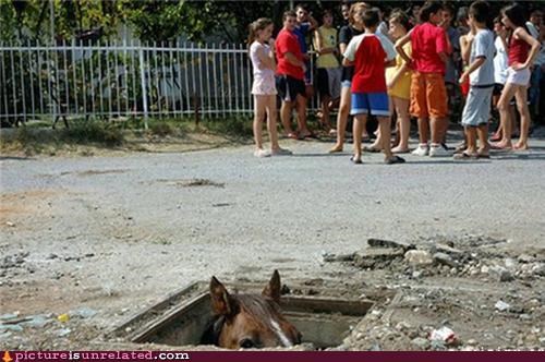 Classic: In the Horse Hole
