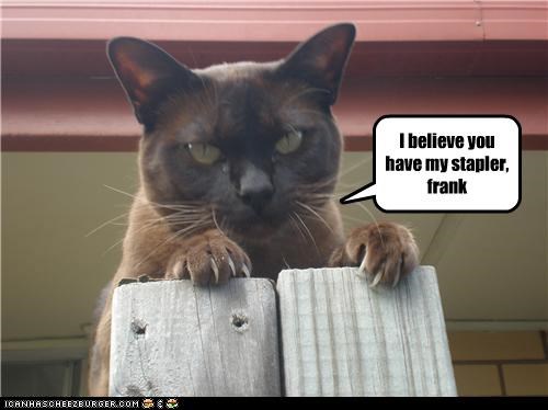 I believe you have my stapler,
frank