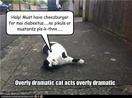 Halp! Must have cheezburger for mai diabeetus.....no pikuls or mustardz pls-k-thnx.....