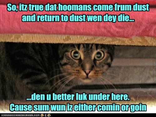 Ur no dust bunny till sum dust bunny lubs u