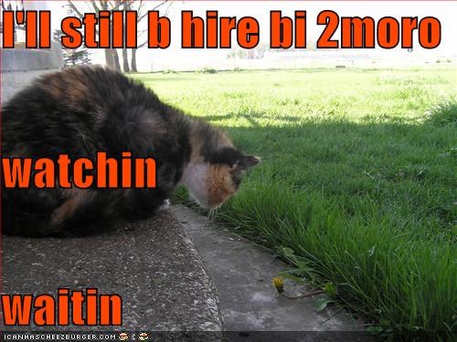 I'll still b hire bi 2moro watchin waitin