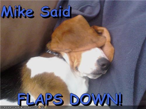Mike Said  FLAPS DOWN!