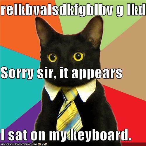 Play Him Out, Business Cat
