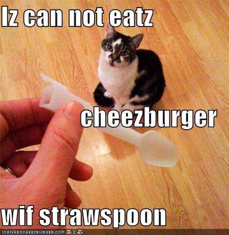 Iz can not eatz  cheezburger wif strawspoon