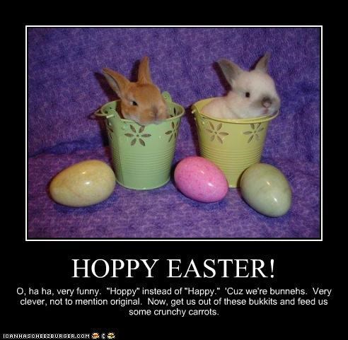Hoppy Easter, Everybuddy!