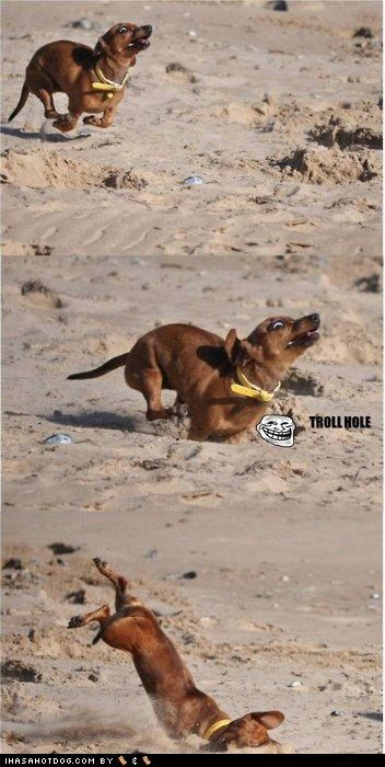 Look Out, Weenie!