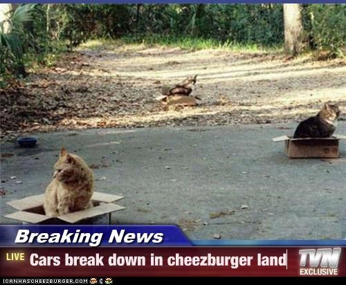 Breaking News - Cars break down in cheezburger land