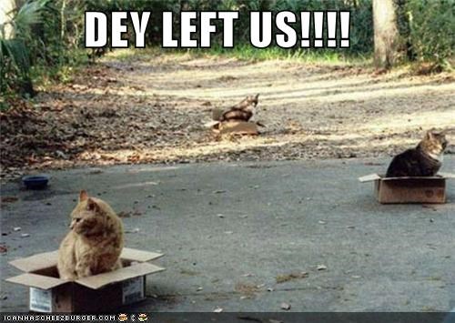 DEY LEFT US!!!!