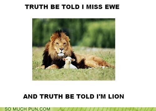 Oh, How I Lamb-ent Mistruths