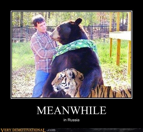 MEANWHILE