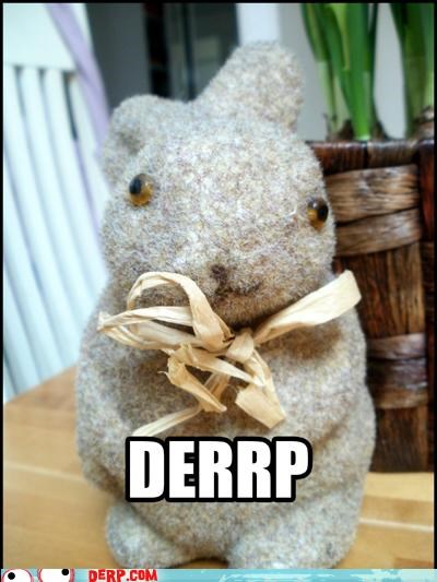 Bunny Derp