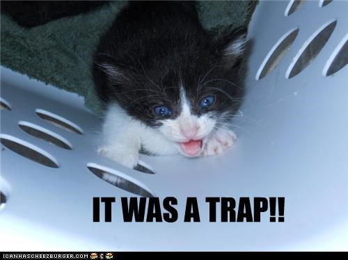 IT WAS A TRAP!!