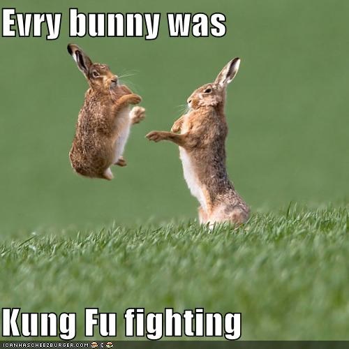 Evry bunny