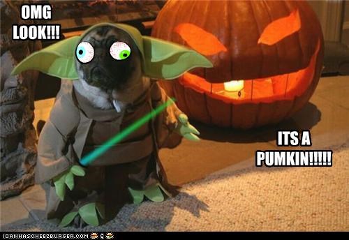 Yoda And a Pumkin