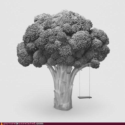 Broccoli Shade is the Best Shade...