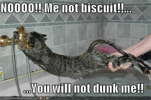 NOOOO!! Me not biscuit!!...  ...You will not dunk me!!