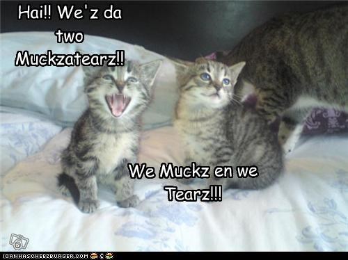 Hai!! We'z da two Muckzatearz!!