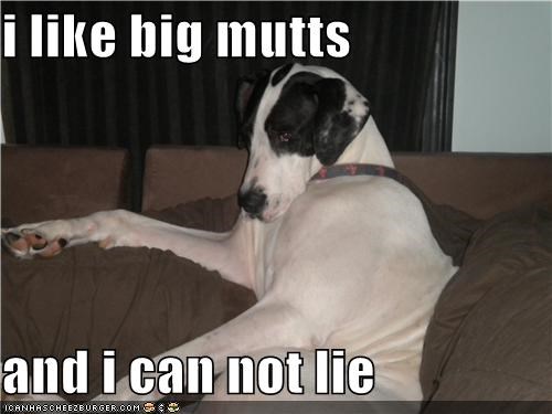 i like big mutts