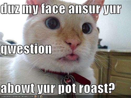 duz my face ansur yur qwestion  abowt yur pot roast?