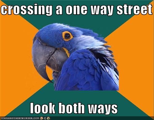 Paranoid Parrot: They're Driving Backwards!