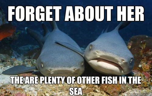 Fishy Advice of the Day