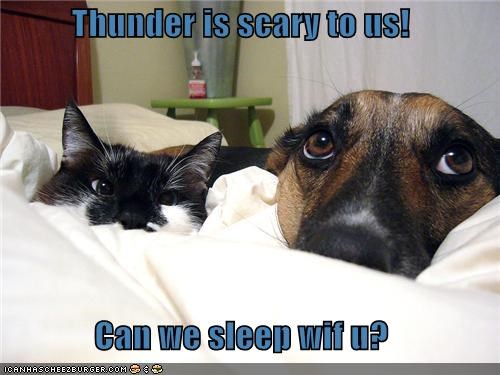 Thunder is scary to us!