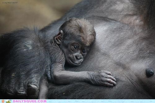 Safe in Mama's Arms