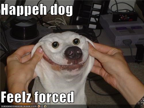 Happeh dog  Feelz forced
