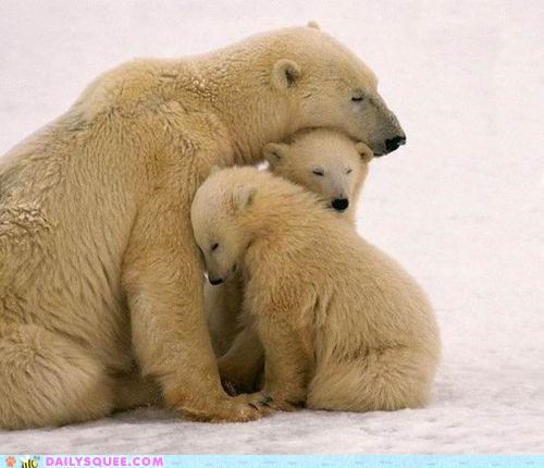 The Whole Family's Bearly Awake