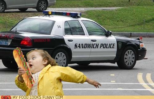 Cheese It! The Fuzz!