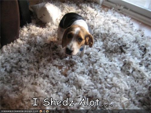 I Shedz Alot...