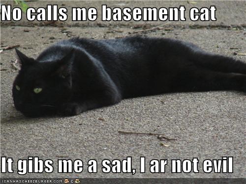 No calls me basement cat  It gibs me a sad, I ar not evil