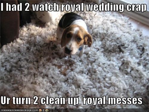 I had 2 watch