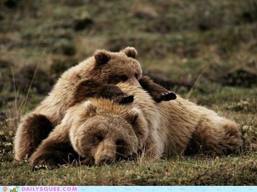 Acting Like Animals: Yeah, That's the Spot