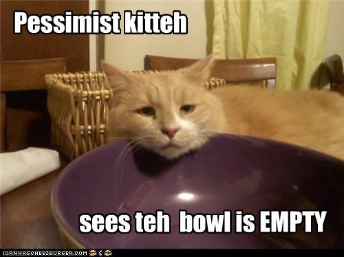 Pessimist kitteh
