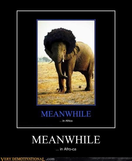 MEANWHILE