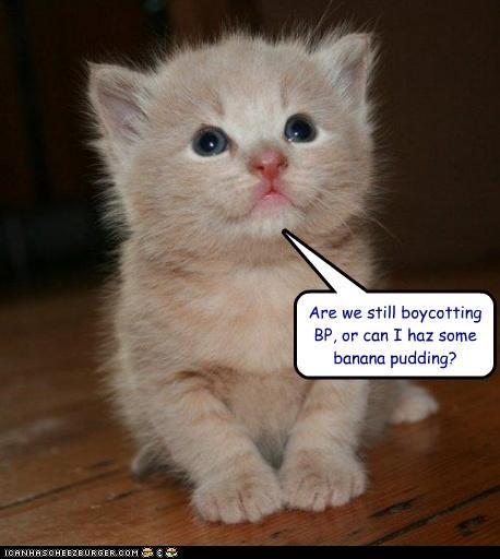 Are we still boycotting BP,