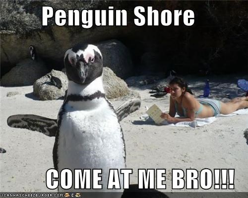 Penguin Shore  COME AT ME BRO!!!
