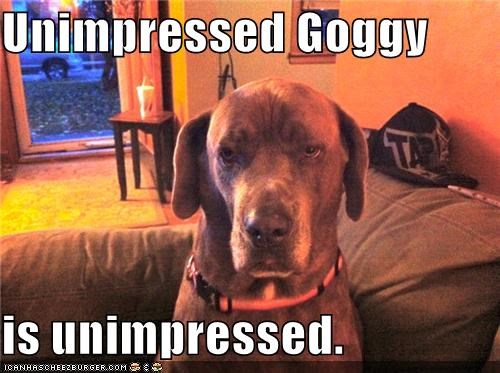 Unimpressed Goggy