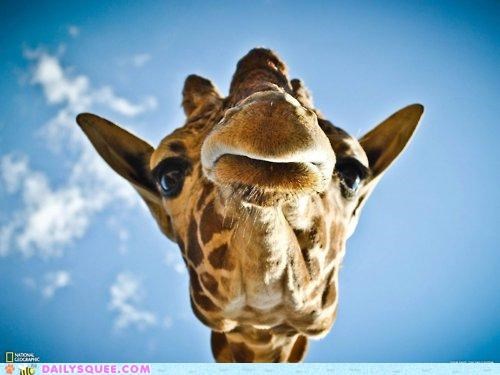 Acting Like Animals: EPIC POUT