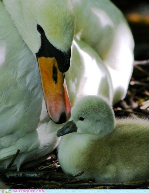 Happy Mother's Day!